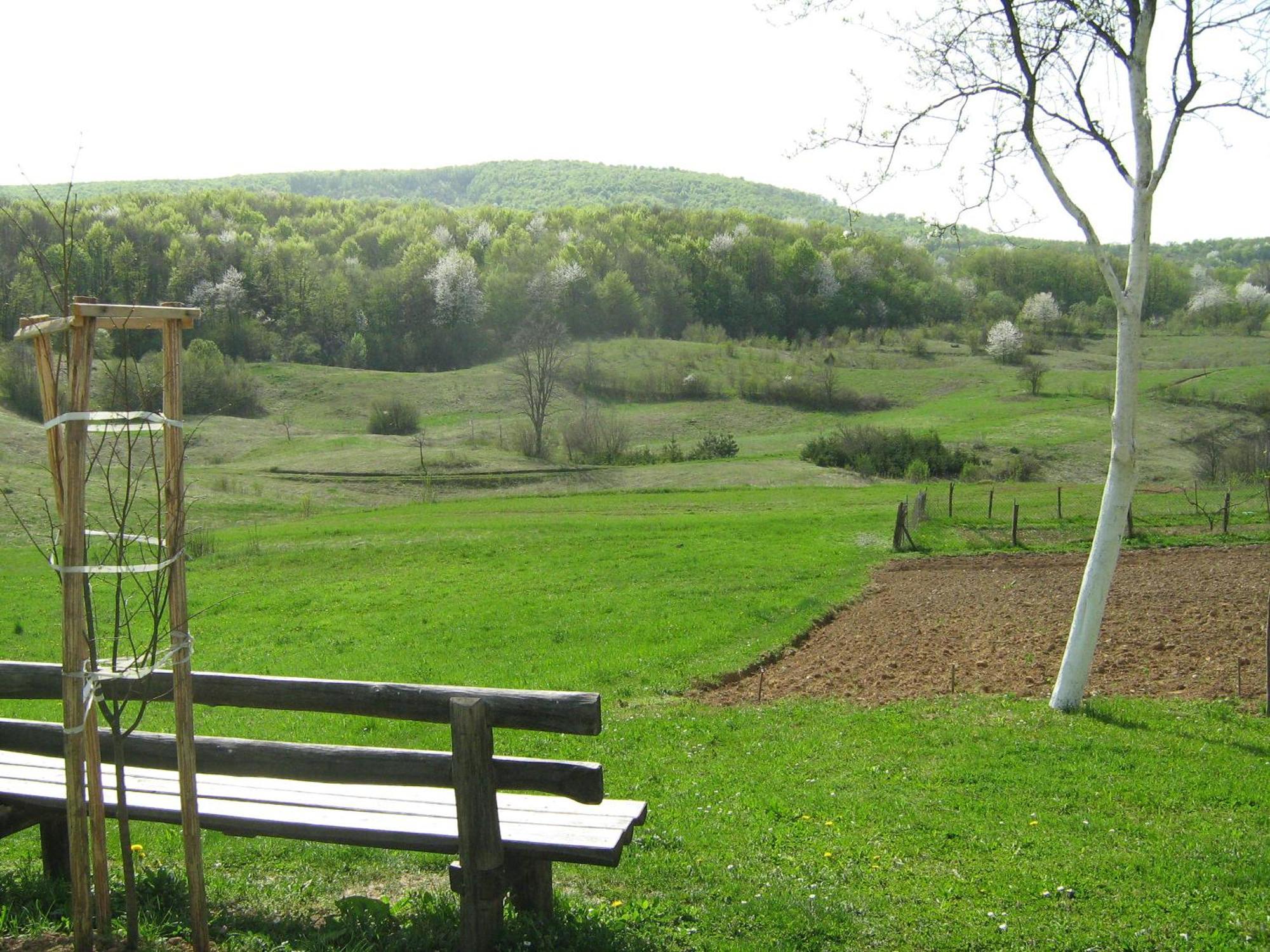 Villa Iva Rakovica Εξωτερικό φωτογραφία